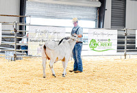 DSC_9115Rec-2