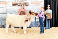 Heifer Classes